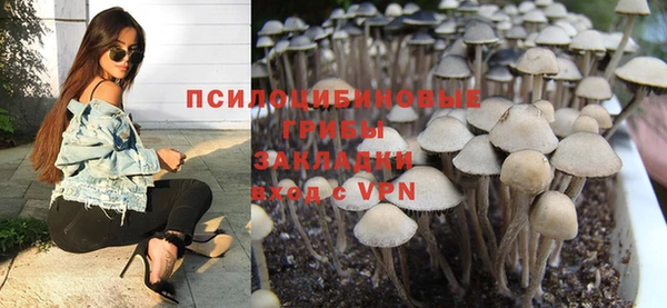 эйфоретик Беломорск
