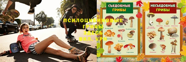 трава Белокуриха