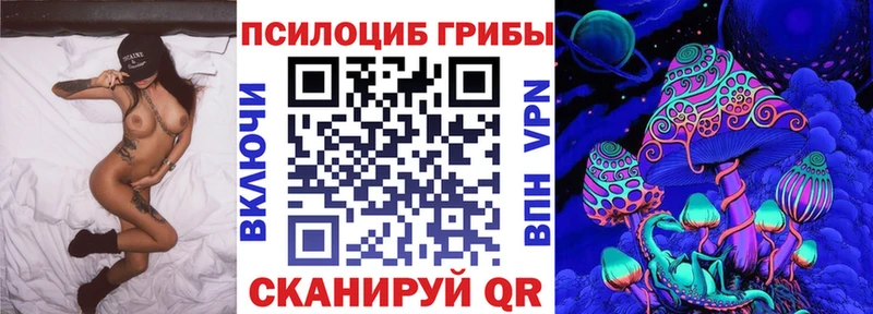 Псилоцибиновые грибы мицелий  цены наркотик  мега как зайти  Холм 